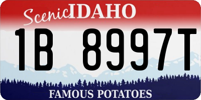 ID license plate 1B8997T