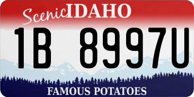 ID license plate 1B8997U