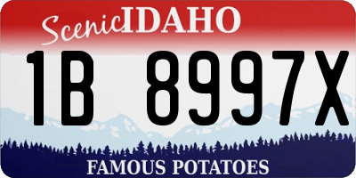 ID license plate 1B8997X