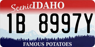 ID license plate 1B8997Y