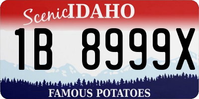 ID license plate 1B8999X