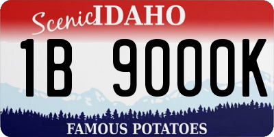 ID license plate 1B9000K
