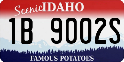 ID license plate 1B9002S