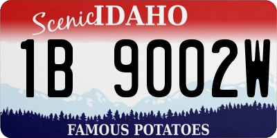 ID license plate 1B9002W