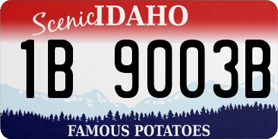 ID license plate 1B9003B
