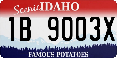 ID license plate 1B9003X