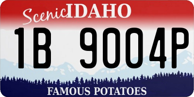 ID license plate 1B9004P