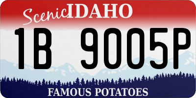 ID license plate 1B9005P