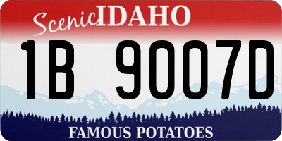 ID license plate 1B9007D