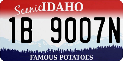 ID license plate 1B9007N