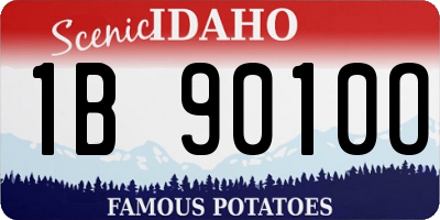 ID license plate 1B9010O
