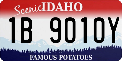 ID license plate 1B9010Y