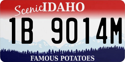 ID license plate 1B9014M