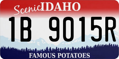 ID license plate 1B9015R