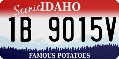ID license plate 1B9015V