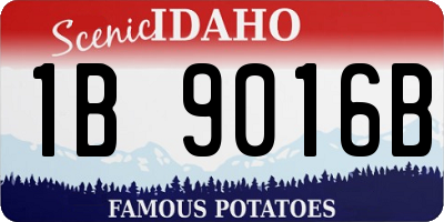 ID license plate 1B9016B