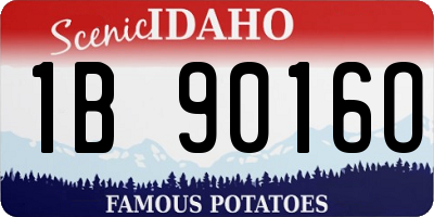 ID license plate 1B9016O