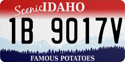 ID license plate 1B9017V