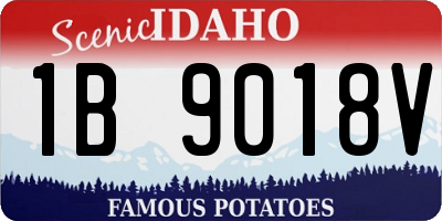 ID license plate 1B9018V