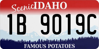 ID license plate 1B9019C