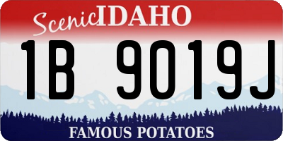 ID license plate 1B9019J