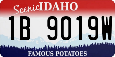 ID license plate 1B9019W