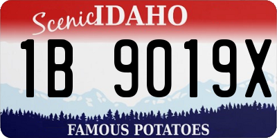 ID license plate 1B9019X