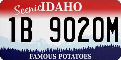 ID license plate 1B9020M