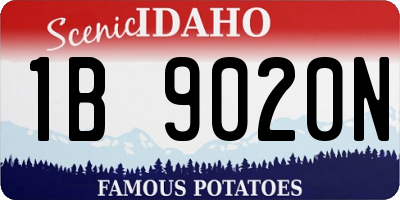 ID license plate 1B9020N