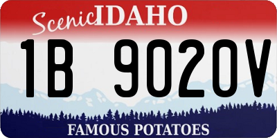 ID license plate 1B9020V