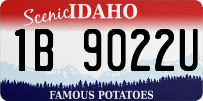 ID license plate 1B9022U