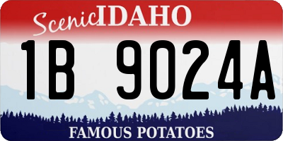 ID license plate 1B9024A