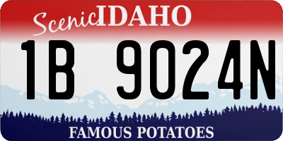ID license plate 1B9024N