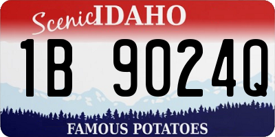 ID license plate 1B9024Q