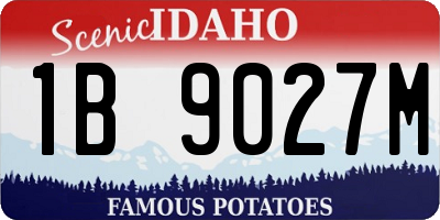 ID license plate 1B9027M