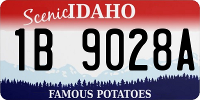 ID license plate 1B9028A