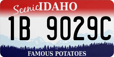 ID license plate 1B9029C