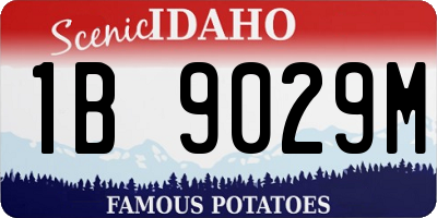 ID license plate 1B9029M