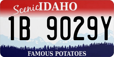 ID license plate 1B9029Y