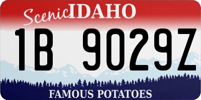 ID license plate 1B9029Z