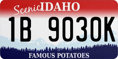 ID license plate 1B9030K