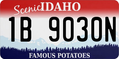 ID license plate 1B9030N