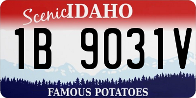 ID license plate 1B9031V