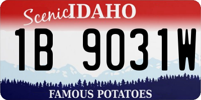 ID license plate 1B9031W