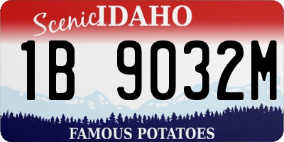 ID license plate 1B9032M