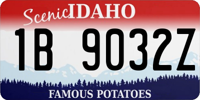 ID license plate 1B9032Z