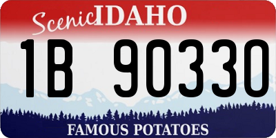 ID license plate 1B9033O