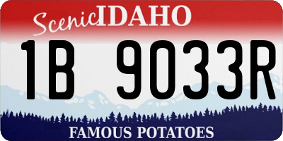 ID license plate 1B9033R