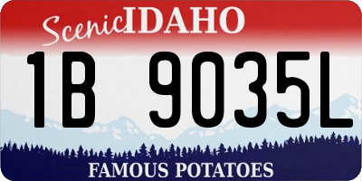 ID license plate 1B9035L