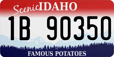 ID license plate 1B9035O